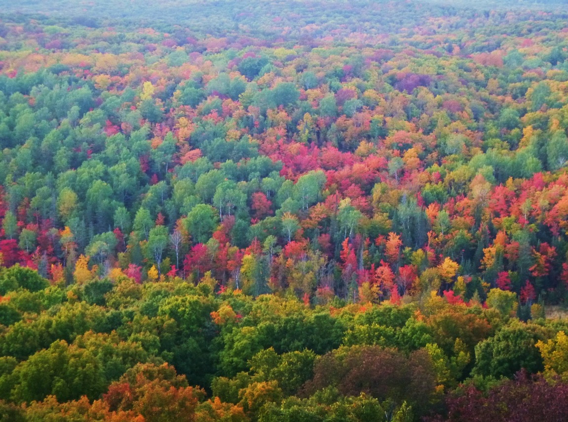 Tomahawk Radon Mitigation & Testing installed in Fall N11445 Co Rd A LOT 18, Tomahawk, WI 54487 715-504-1122